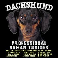 Dachshund Black Tan Professional Human Trainer Cute Dog Womens T-Shirt
