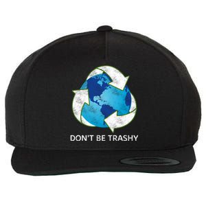 Dont Be Trashy Earth Day Recycle Nature Save The Planet Gift Wool Snapback Cap