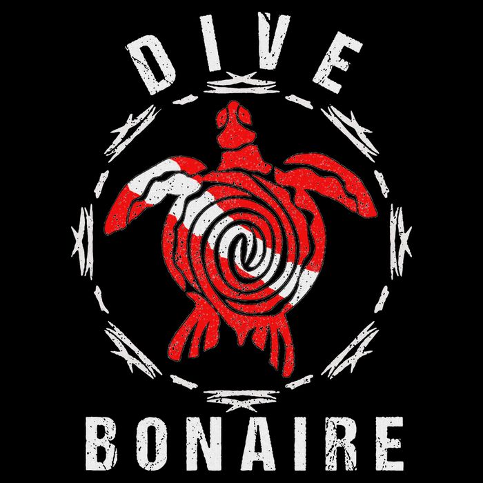 Dive Bonaire Vintage Tribal Turtle Gift Toddler Hoodie
