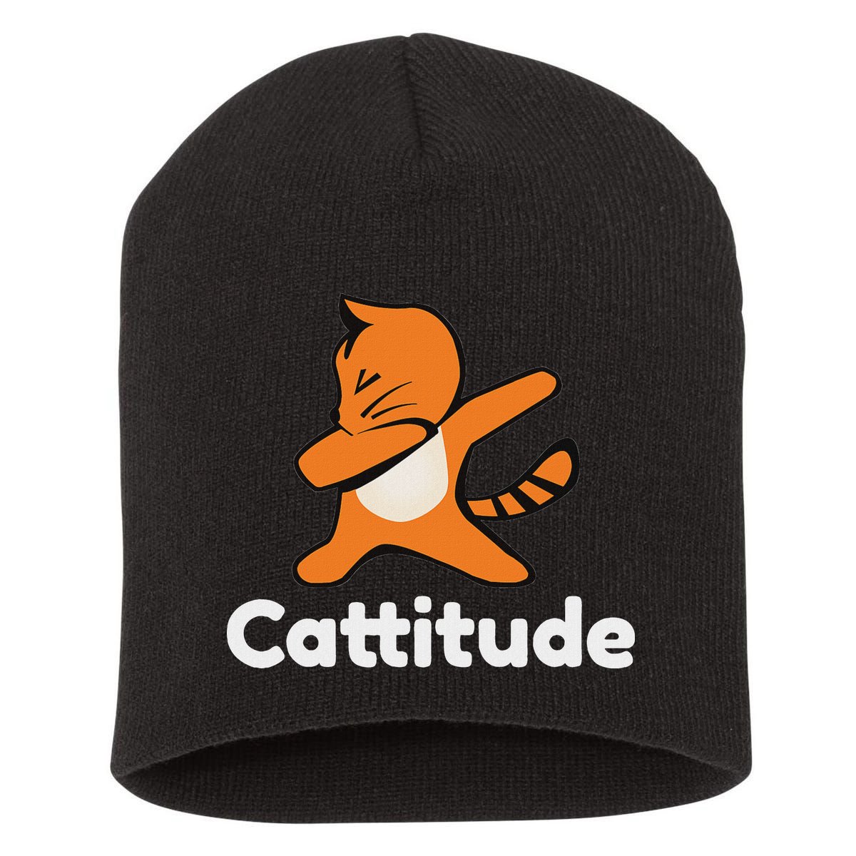 Dabbing Cat Cattitude Funny Attitude Dance Short Acrylic Beanie