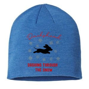 Dachshund Christmas Cute Doxie Xmas Weenie Dog Lover Gift Sustainable Beanie