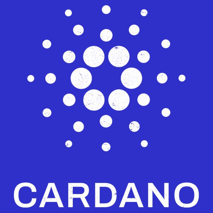 Distressed Cardano Cryptocurrency Logo Sweatshirt