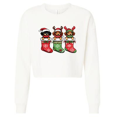 Dachshund Christmas Cropped Pullover Crew