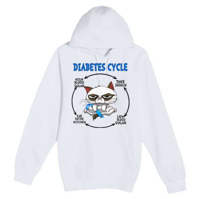 Diabetes Cycle Diabetes Awareness Cat Lover Premium Pullover Hoodie