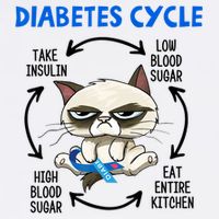 Diabetes Cycle Diabetes Awareness Cat Lover Tall T-Shirt
