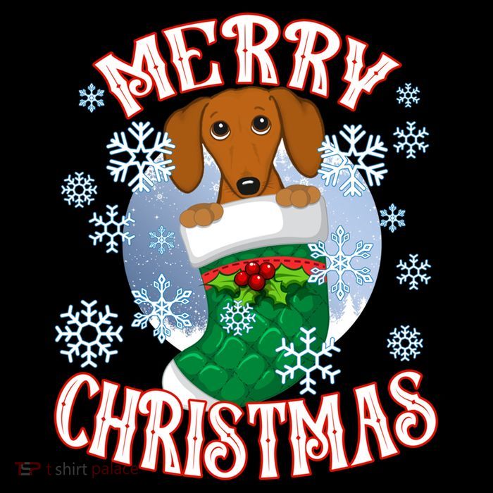 Dachshund Cute Dog In A Christmas Stocking Stuffer Gift Flatbill Hat