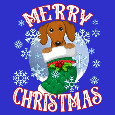 Dachshund Cute Dog In A Christmas Stocking Stuffer Gift T-Shirt