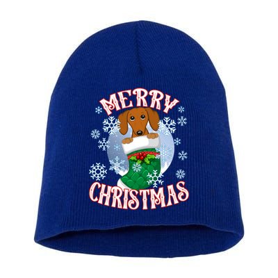 Dachshund Cute Dog In A Christmas Stocking Stuffer Gift Short Acrylic Beanie