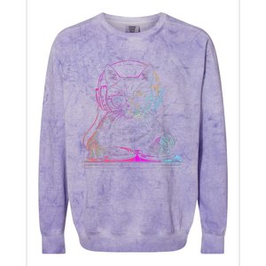 Dj Cat Edm Techno House Music Funny Cat Lover Colorblast Crewneck Sweatshirt