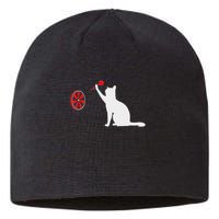 Darts Cat Funny Dart Throwing Cat Dart And Cat Lover Sustainable Beanie
