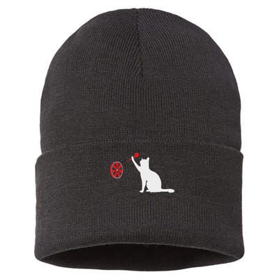 Darts Cat Funny Dart Throwing Cat Dart And Cat Lover Sustainable Knit Beanie