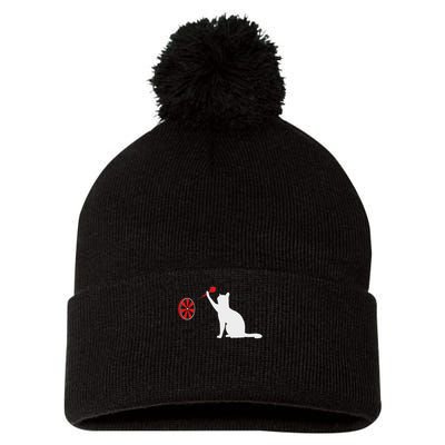 Darts Cat Funny Dart Throwing Cat Dart And Cat Lover Pom Pom 12in Knit Beanie