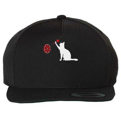 Darts Cat Funny Dart Throwing Cat Dart And Cat Lover Wool Snapback Cap