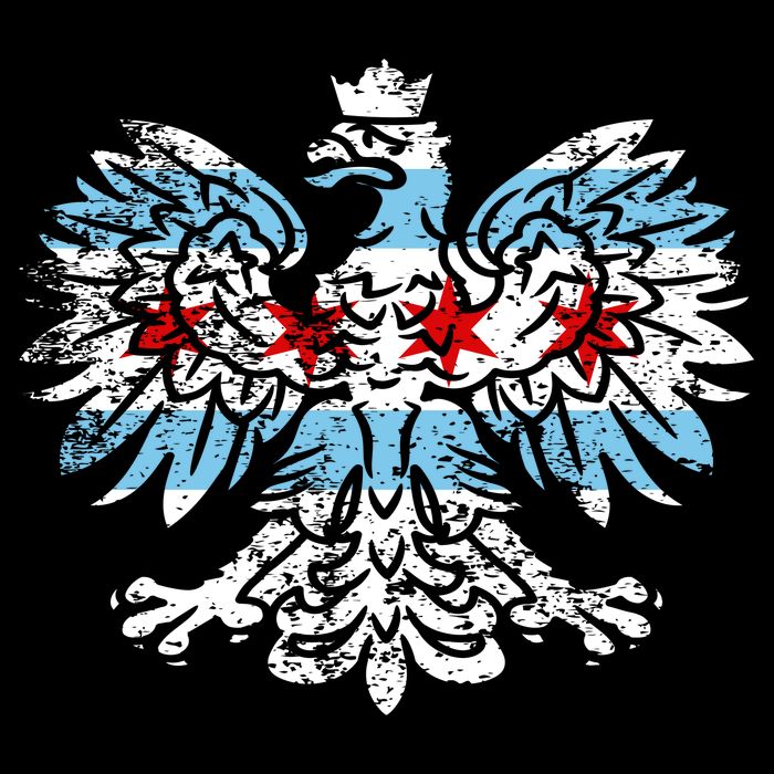 Distressed Chicago Flag Polish Poland Eagle Mug