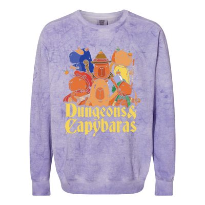 Dungeons & Capybaras Funny Capybara Lover Colorblast Crewneck Sweatshirt