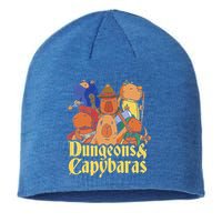 Dungeons & Capybaras Funny Capybara Lover Sustainable Beanie