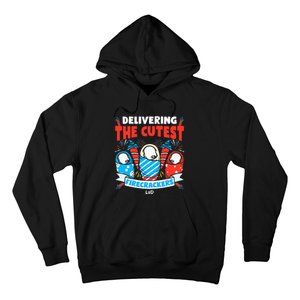 Delivering Cutest Firecrackers Funny L&D Nurse 4th of July Hoodie