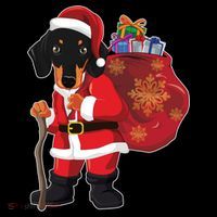 Dachshund Christmas Gift Weiner Dog Lovers Xmas Gift Gift Flatbill Hat