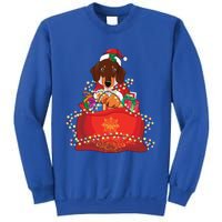 Dachshund Christmas Gift Weiner Dog Lovers Xmas Gift Cute Gift Sweatshirt