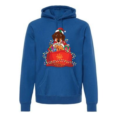 Dachshund Christmas Gift Weiner Dog Lovers Xmas Gift Cute Gift Premium Hoodie