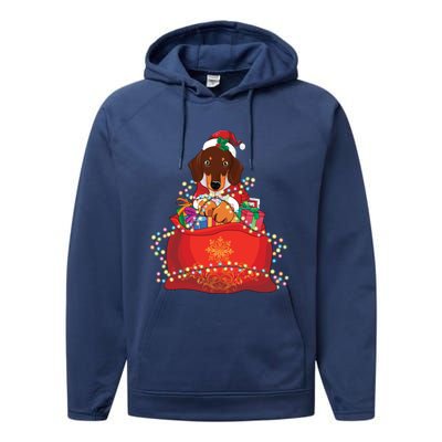 Dachshund Christmas Gift Weiner Dog Lovers Xmas Gift Cute Gift Performance Fleece Hoodie