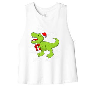 Dinosaur Christmas Gift Fa Ra Rawr Tree Rex Xmas Gift Great Gift Women's Racerback Cropped Tank