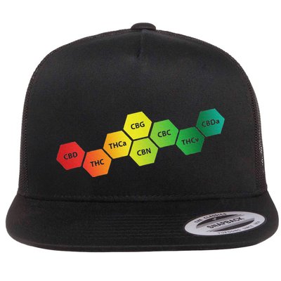 Different Cannabinoids In A Colorful Flat Bill Trucker Hat