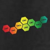 Different Cannabinoids In A Colorful Trucker Hat