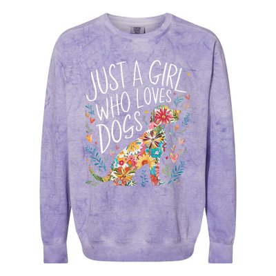 Dog Cute Just A Girl Who Loves Dogs Colorblast Crewneck Sweatshirt