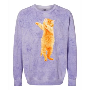 Dabbing Cat Kitten Funny Dab Dance Kitty Funny Gift Colorblast Crewneck Sweatshirt