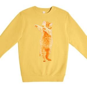 Dabbing Cat Kitten Funny Dab Dance Kitty Funny Gift Premium Crewneck Sweatshirt