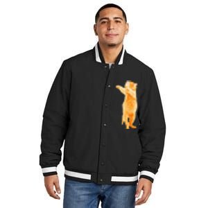 Dabbing Cat Kitten Funny Dab Dance Kitty Funny Gift Insulated Varsity Jacket