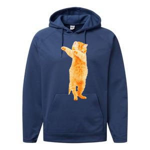 Dabbing Cat Kitten Funny Dab Dance Kitty Funny Gift Performance Fleece Hoodie