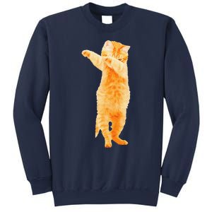 Dabbing Cat Kitten Funny Dab Dance Kitty Funny Gift Sweatshirt