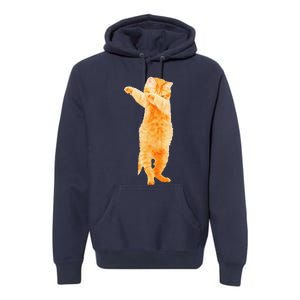 Dabbing Cat Kitten Funny Dab Dance Kitty Funny Gift Premium Hoodie