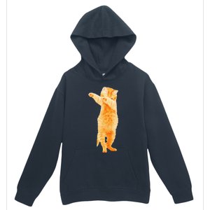 Dabbing Cat Kitten Funny Dab Dance Kitty Funny Gift Urban Pullover Hoodie