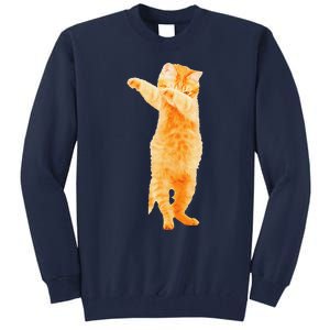 Dabbing Cat Kitten Funny Dab Dance Kitty Funny Gift Tall Sweatshirt