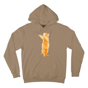 Dabbing Cat Kitten Funny Dab Dance Kitty Funny Gift Hoodie