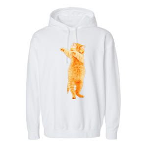 Dabbing Cat Kitten Funny Dab Dance Kitty Funny Gift Garment-Dyed Fleece Hoodie