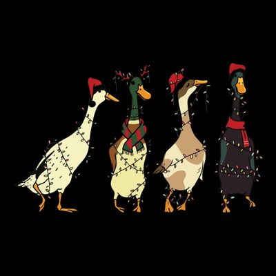 Ducks Christmas Light T-Shirt