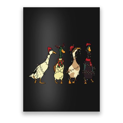 Ducks Christmas Light Poster
