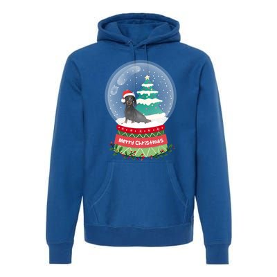 Dachshund Christmas Ornats Crystal Ball Snowy Xmas Tree Meaningful Gift Premium Hoodie