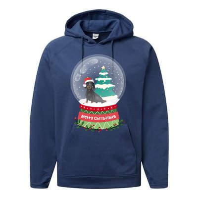 Dachshund Christmas Ornats Crystal Ball Snowy Xmas Tree Meaningful Gift Performance Fleece Hoodie