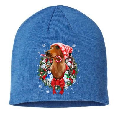 Dachshund Christmas Ornat Decoration Doxie Santa Xmas Cute Gift Sustainable Beanie