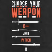 Developer Coder Programming Software Engineer Programmer Adult Drive Performance Visor