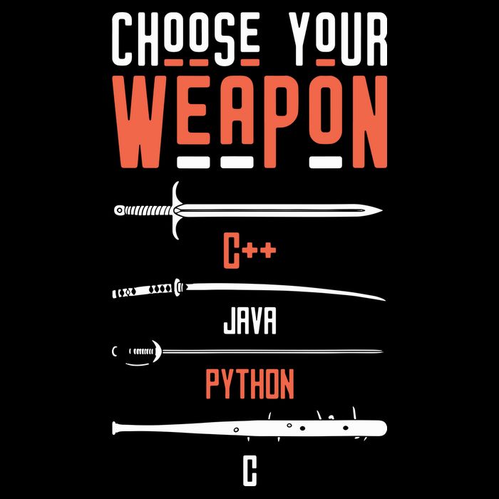 Developer Coder Programming Software Engineer Programmer Poster