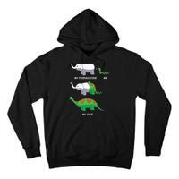 Developer Coder Programming Software Engineer Programmer Tall Hoodie
