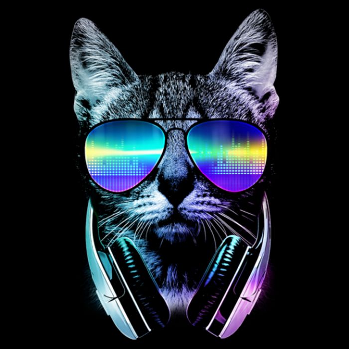 DJ Cat Retro Bag