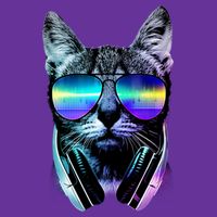 DJ Cat Retro Tall T-Shirt