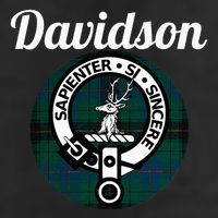 Davidson Clan Scottish Name Coat Of Arms Tartan Garment-Dyed Fleece Hoodie